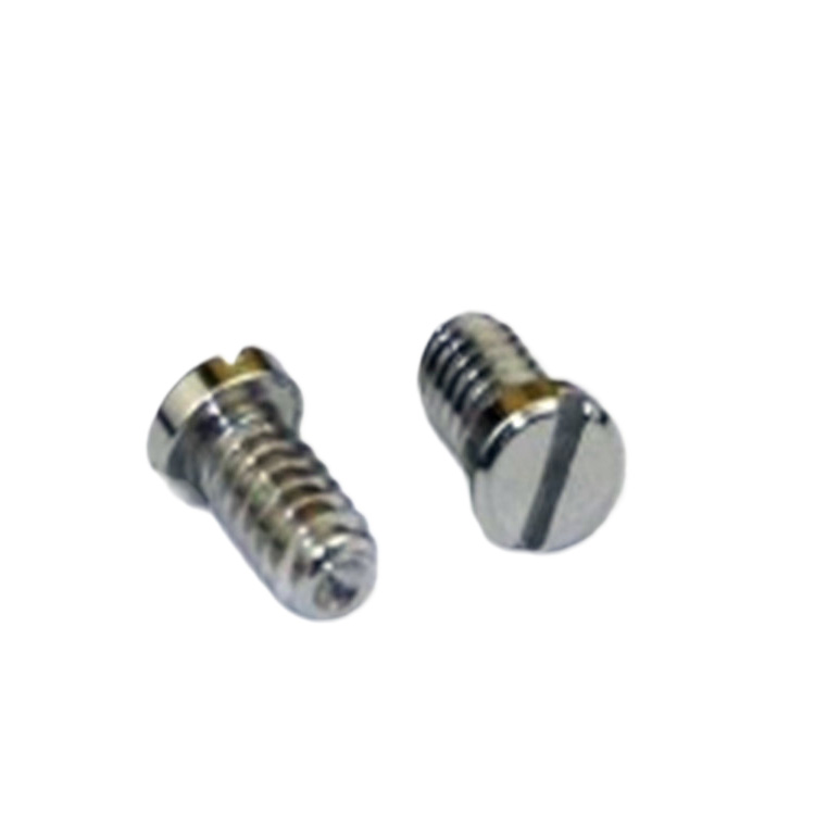 Stainless steel M0.6 M0.7 M1.0 small micro screw for smart watch