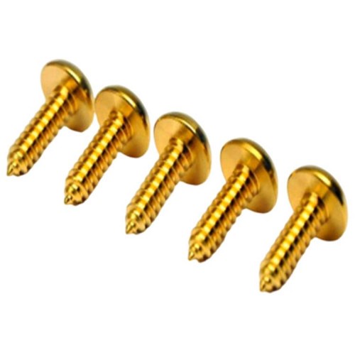 Golden color titanium pan head torx screw