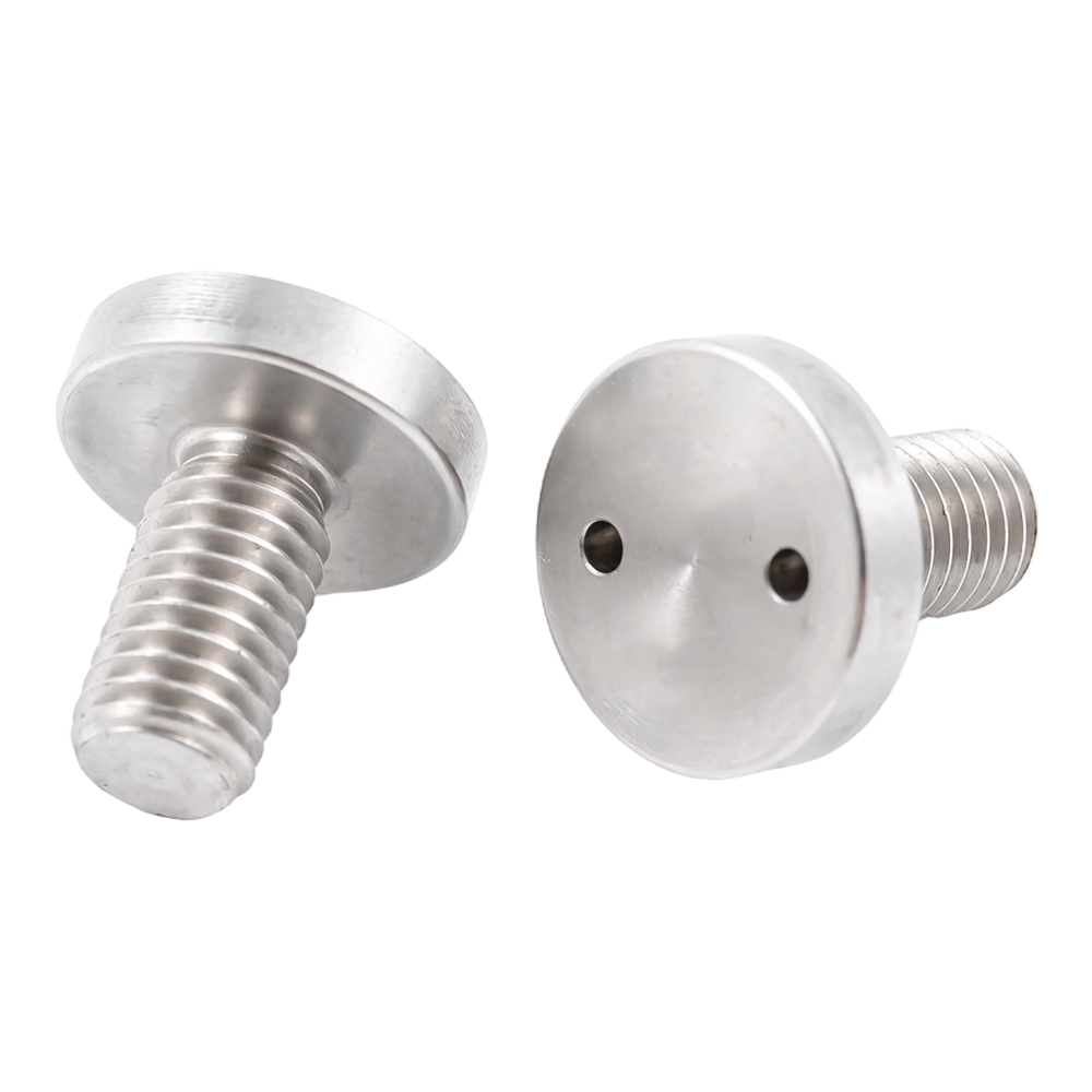 CUsotmized stainless steel flat head snake eye anti theft screws