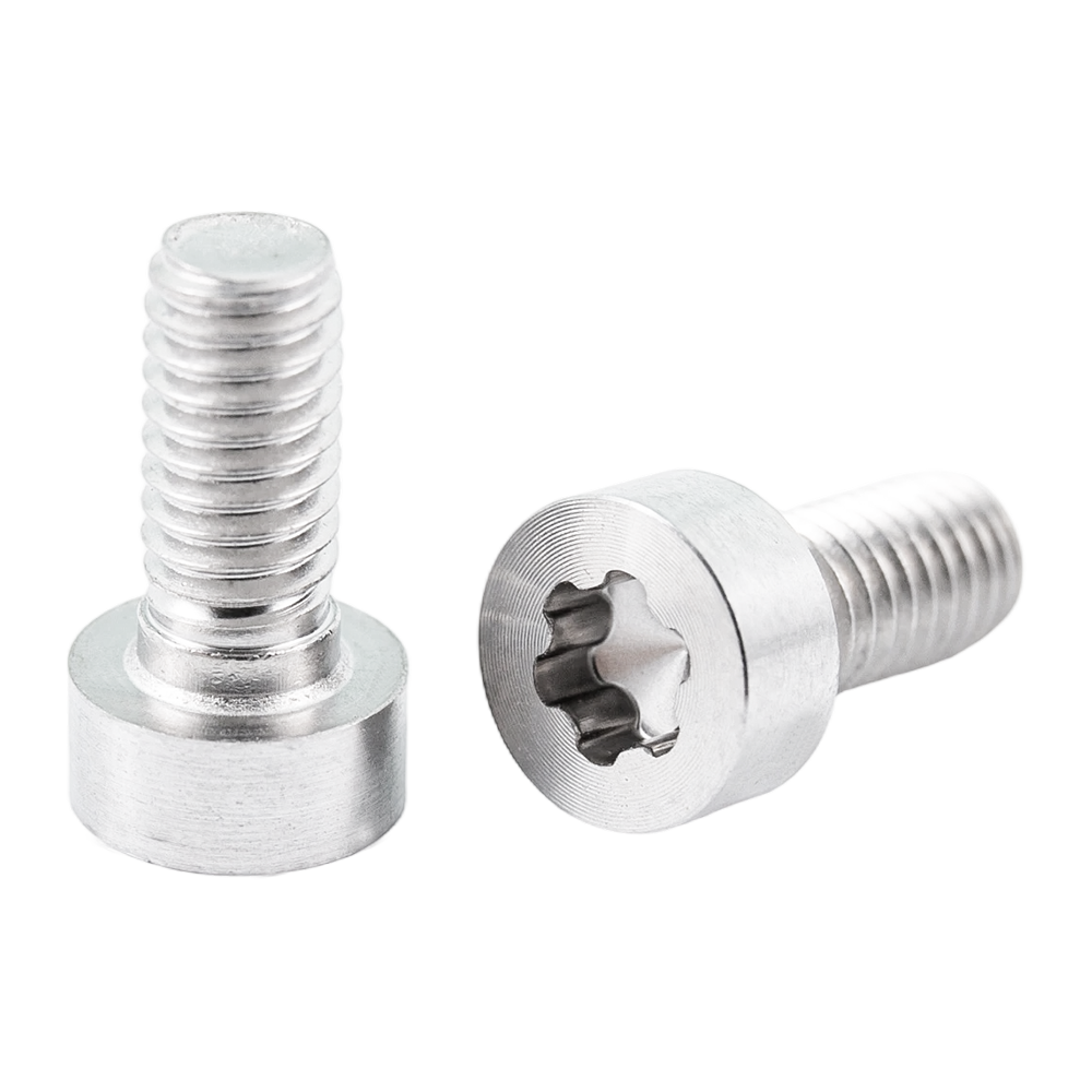 Customized low cup head CD pattern screws Torx head satin brushed screws