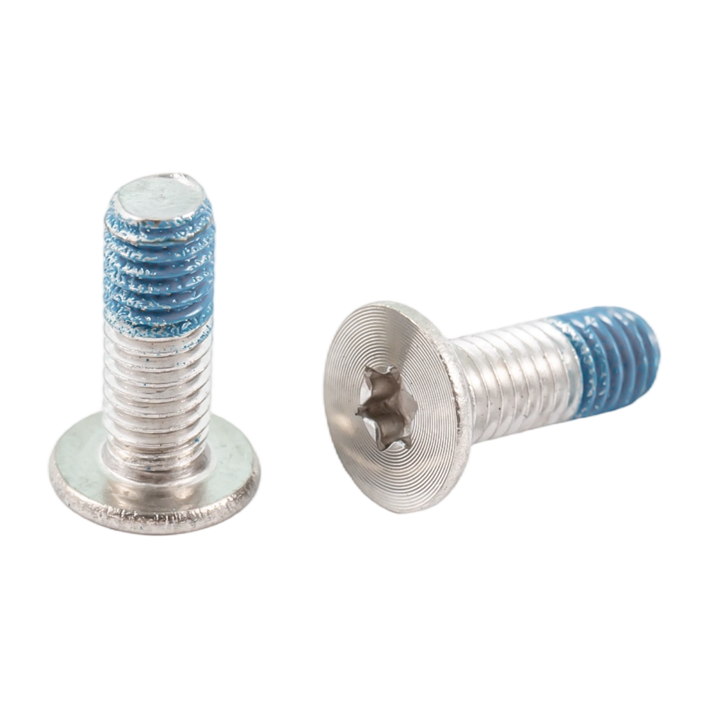 Customized stainless steel flat head CD pattern nylon patch screws