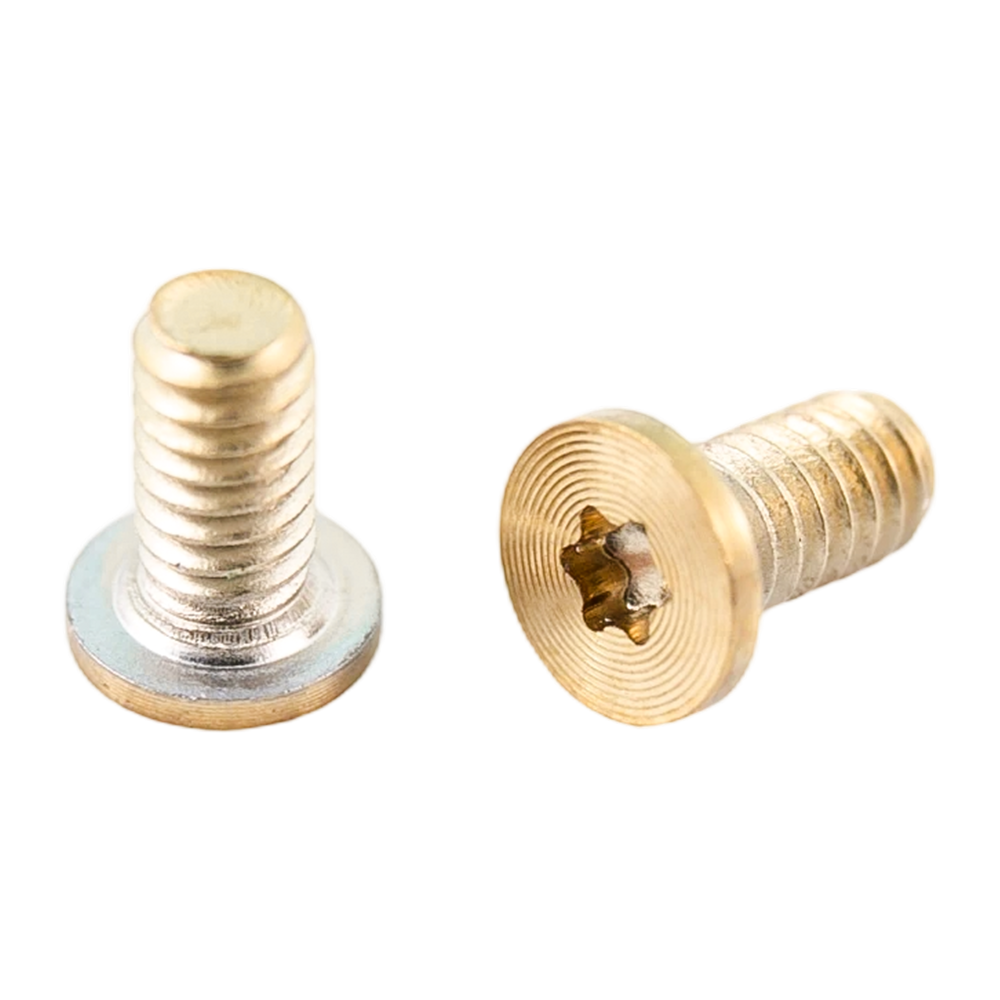 Gold PVD torx head stainless steel machine thread CD pattern screws