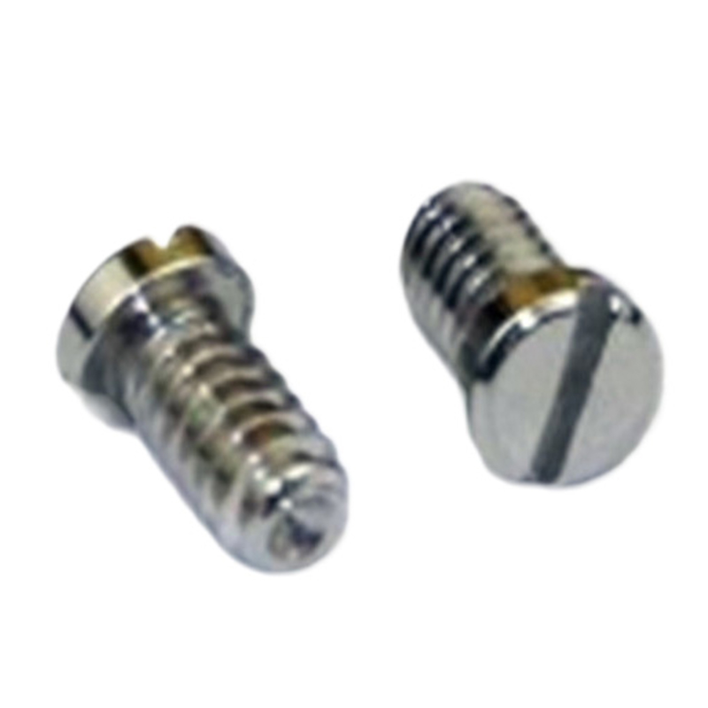 Stainless steel M0.6 M0.7 M1.0 small micro screw for smart watch