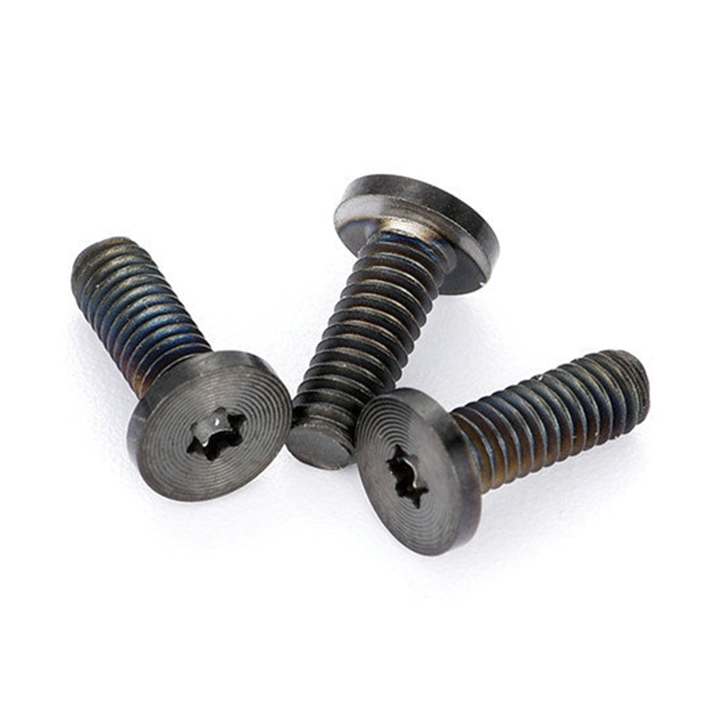 CD pattern flat head torx black PVD screws