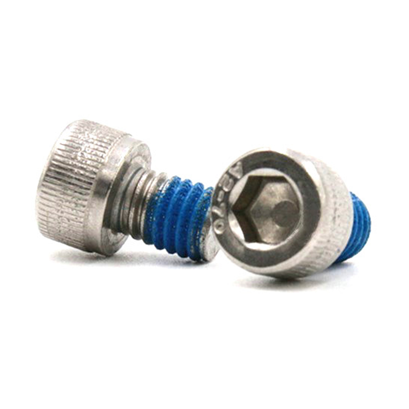 Stainless steel 304 hex socket cup head micro screw with nylon patch
