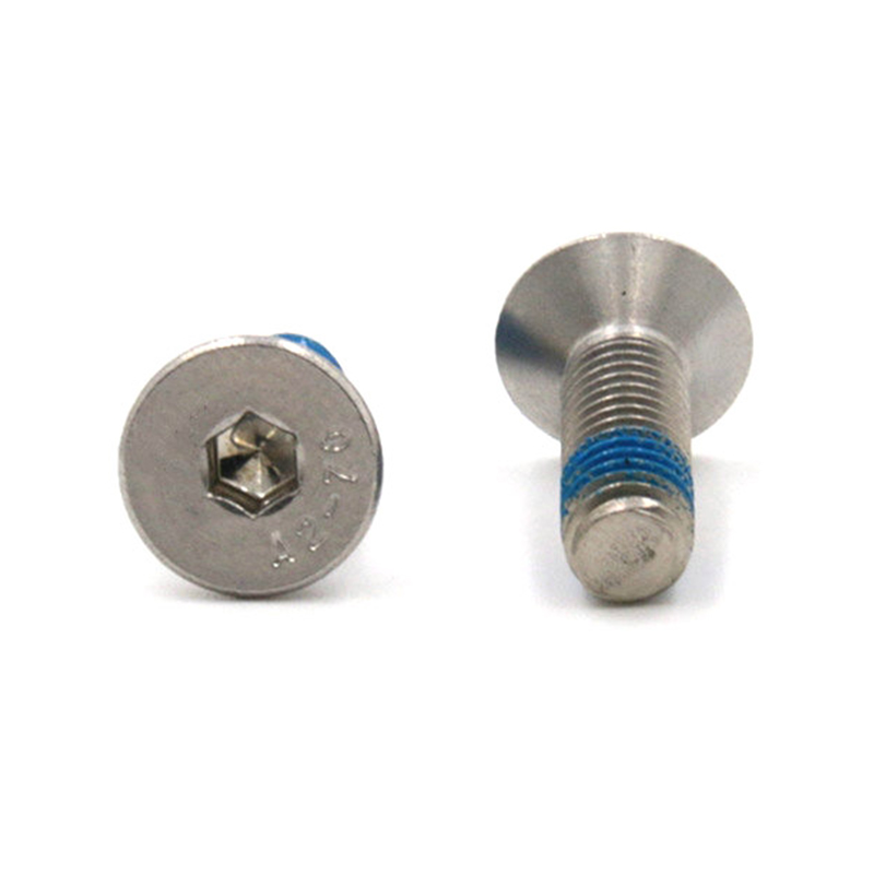 Stainless steel countersunk head socket micro mini locking screws