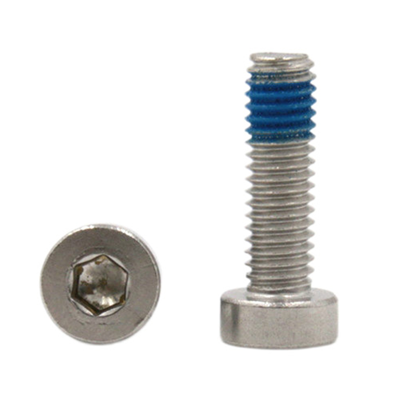 Customized stainless steel 304 hex socket low cup head micro locking bolt