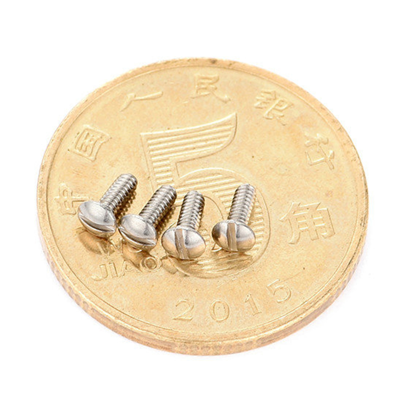 Stainless steel round head slotted micro screw