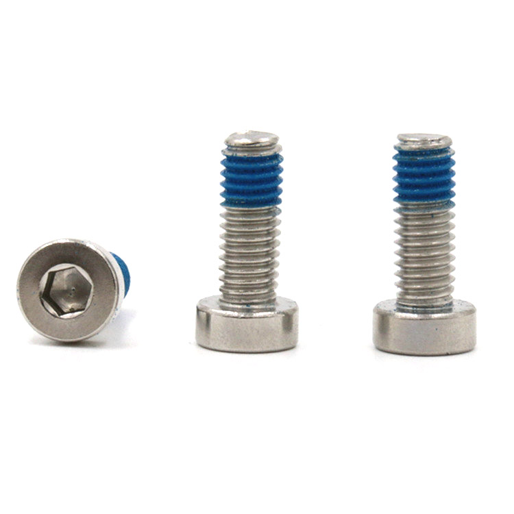 Stainless steel 18-8 hex socket low cup head mini micro locking screw