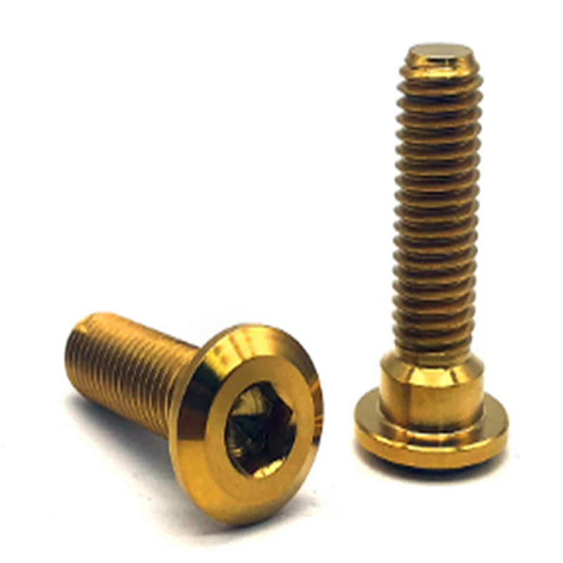 Wholesale gold color pan head hex socket bike titanium screw