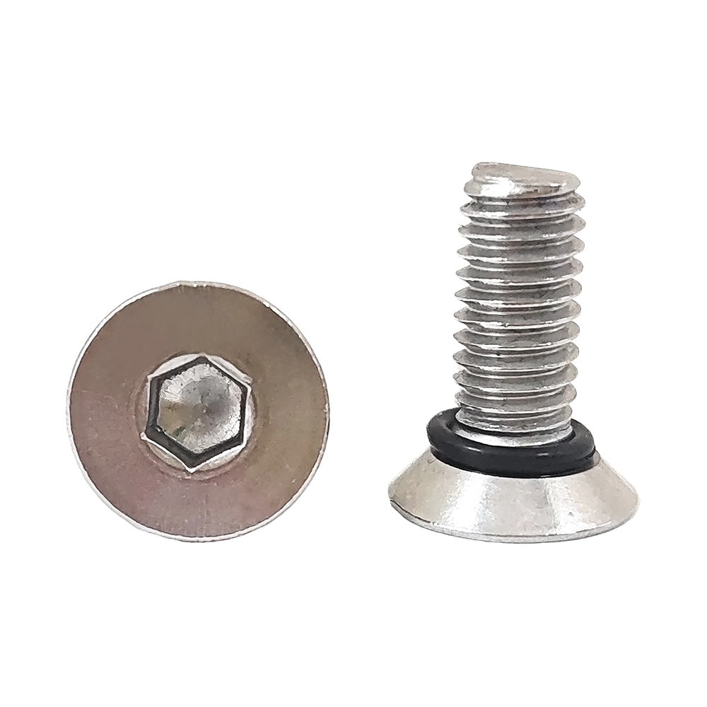 Waterproof Countersunk Hex Socket Screws